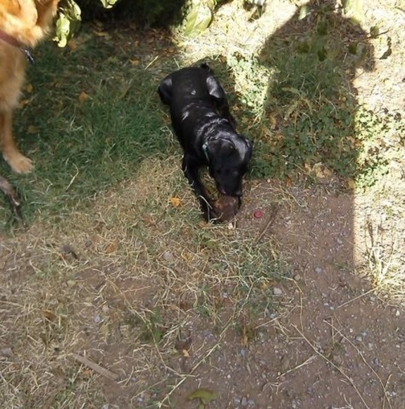 Meet your Posher, Peter - Picture 1 of 1